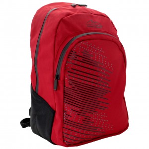 michael-schumacher-backpack12