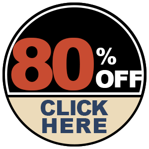 80%OFF-ICON