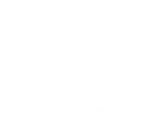 driver's icon