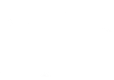 driver's icon