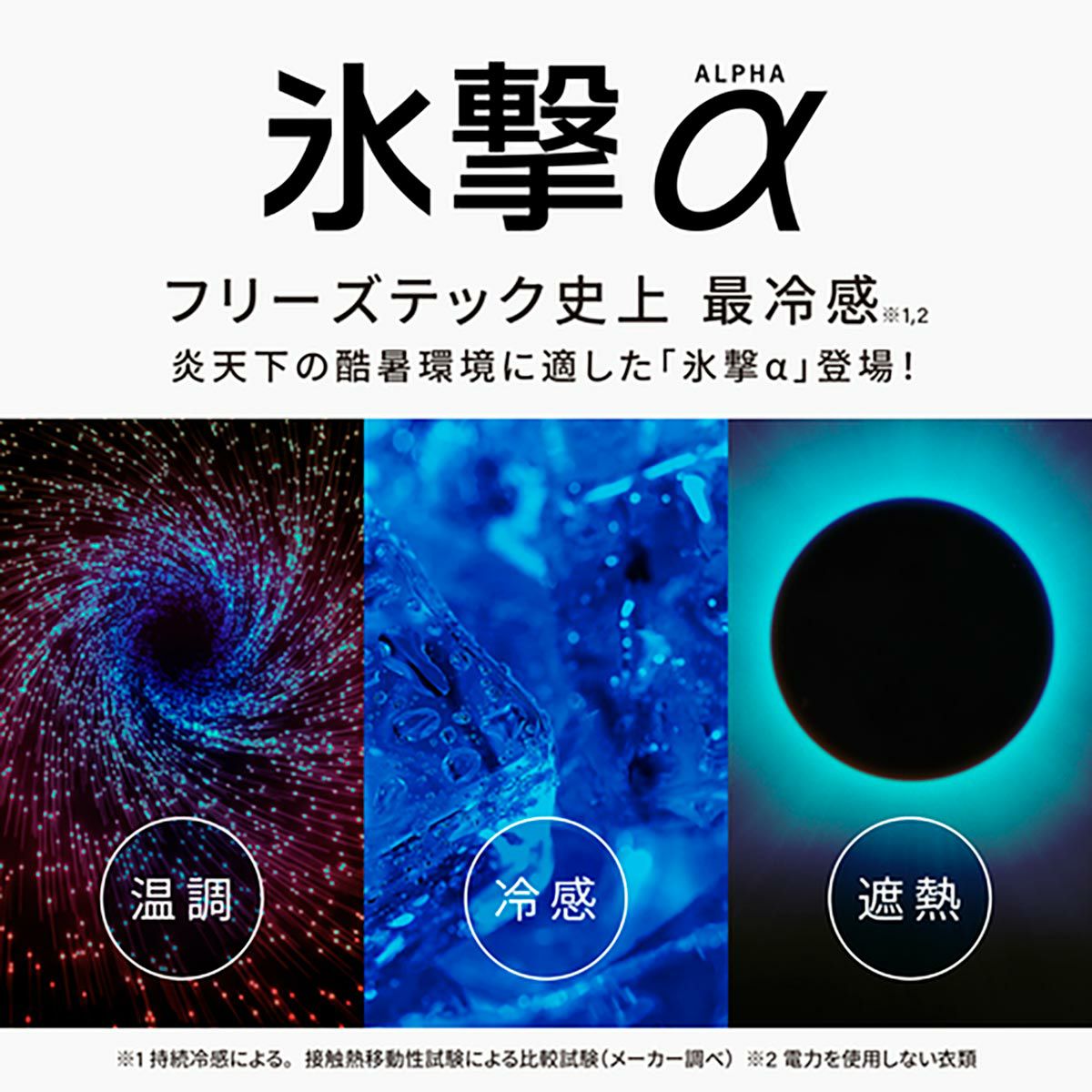 ディティールの紹介