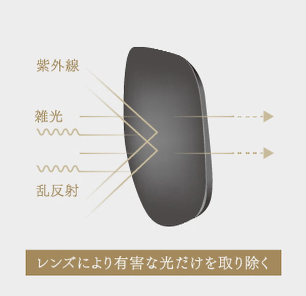 偏光レンズ説明画像