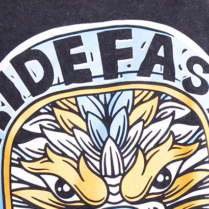 【画像2の説明】